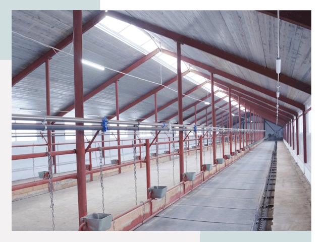 Строительство коровников в Назарово от 617 руб.