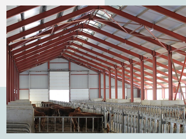 Строительство коровников в Назарово