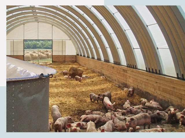 Строительство свинарников в Назарово