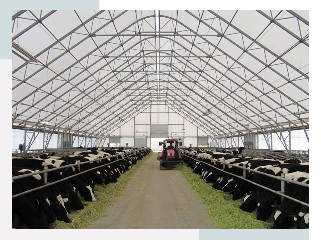 Тентовые коровники в Назарово от 617 руб. - Надежно и доступно